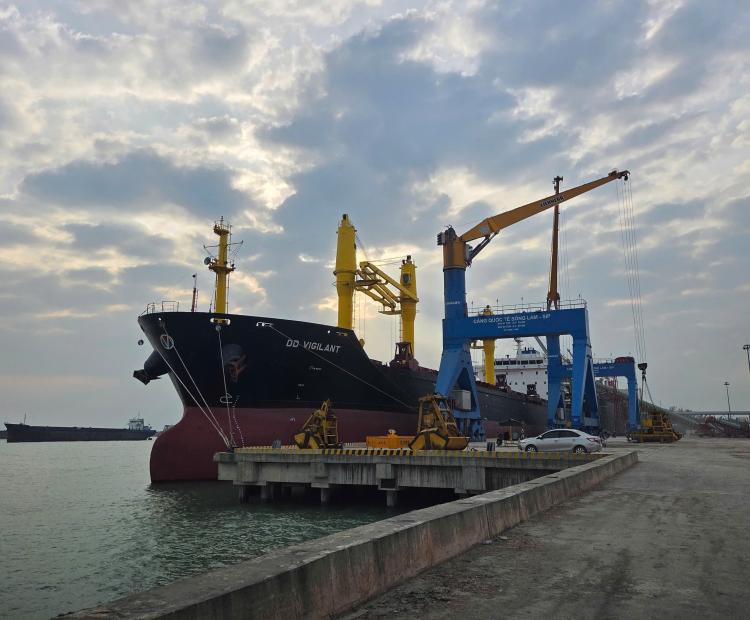 MV DD VIGILANT
