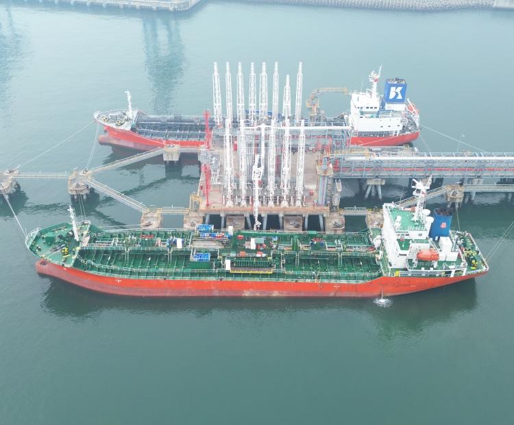 MT. SINGAPORE PIONEER