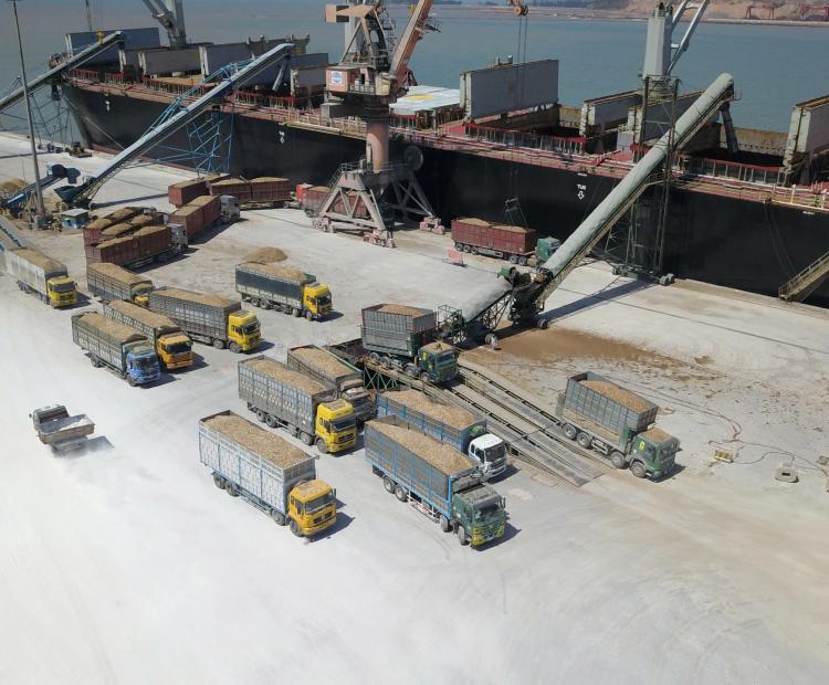 SHIPPING AGENCY SERVICES