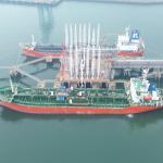 MT. SINGAPORE PIONEER